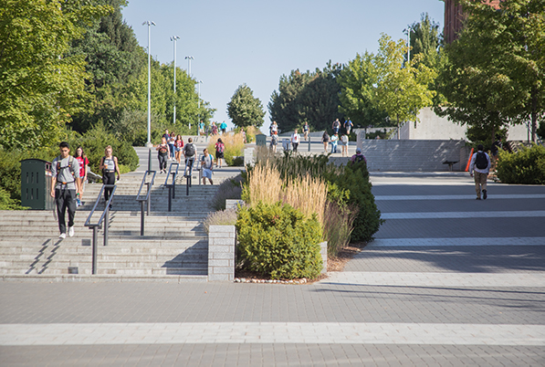 Transparency & Compliance